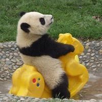 Profile Picture of Darren Tsang (@darren3515) on Pinterest