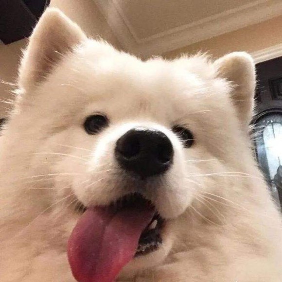 Aadeuybu Aadeuybu - Poshmark Profile Picture of Aadeuybu Aadeuybu (@aadeuybutowuwyb) on Poshmark