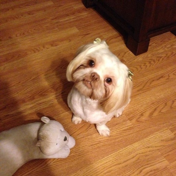 Profile Picture of Brianna Forgason (@briannacf) on Poshmark