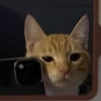 Profile Picture of Heinrich Deyak (@Heinrich-Deyak) on Facebook