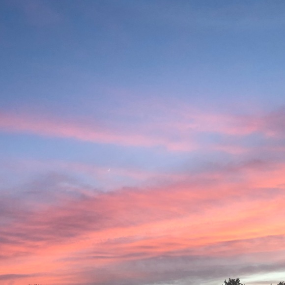 Profile Picture of Mackenzie Carroll (@macncheese614) on Poshmark