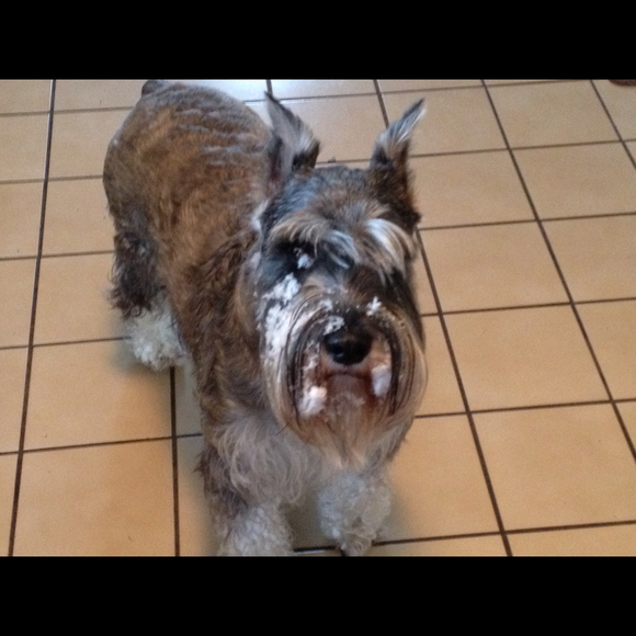 Profile Picture of Cheryl Calarese (@calarese6) on Poshmark