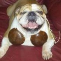 Profile Picture of Brian Rodrigue (@brian-rodrigue) on Quora