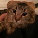 Profile Picture of Daniel Stringer (@daniel.stringer.5059) on Facebook