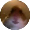 Profile Picture of Jasonstabile Stabile (@@jasonstabilestabile) on Tiktok