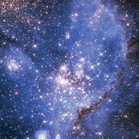 Profile Picture of Megan Cerwinske (@megancerwinske_) on Poshmark