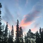 Profile Picture of Deborah Shannon (@telleroffantastictales) on Instagram