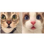 Profile Picture of 五燈蔣 & 蔓蔓蔣 (@chiangchiangsss) on Instagram