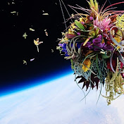 Profile Picture of Neil Mehta (@neilmehta3005) on Youtube