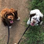 Profile Picture of Bianca Guillen (@biancaguillen06) on Instagram