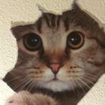 Profile Picture of Jason Vidal (@jason.vidal.3705) on Instagram