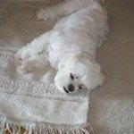 Profile Picture of Felix Arriaga (@felix.arriaga.37) on Instagram