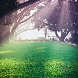 Profile Picture of Adu Janet (@AduJanet5) on Twitter