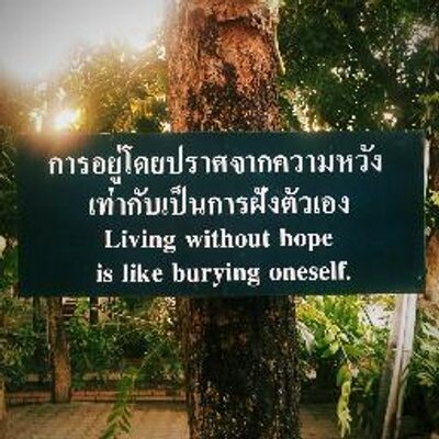 Profile Picture of Pete Hope (@PeedrrHope) on Twitter