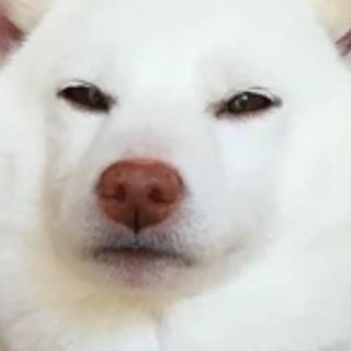 Profile Picture of James Hubba (@james.hubba.58) on Facebook