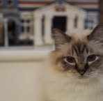 Mak Tsui - Facebook Profile Picture of Mak Tsui (@mak.tsui.9) on Facebook