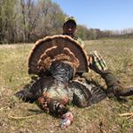 Profile Picture of Mike Chamberlain (@wildturkeydoc) on Instagram