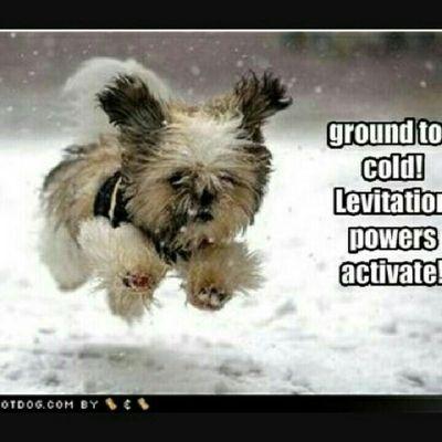 Profile Picture of Hope Haygood (@ghaygood0) on Twitter