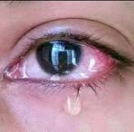 Profile Picture of Harry Rok (@harry.rok.338) on Facebook