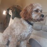 Profile Picture of Mark Pfluger (@markpfluger) on Instagram