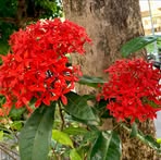 Profile Picture of Holt Rae (@Holt-Rae) on Facebook