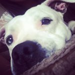 Profile Picture of Jean Tandy (@hightpalon) on Instagram