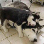 Profile Picture of John Donnelly (@jackjohn86) on Instagram