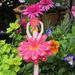Profile Picture of Christine Metcalfe (@dabchic) on Pinterest