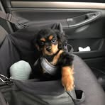 Profile Picture of William Hyslop (@william.hyslop.1257) on Facebook