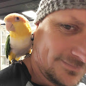 Profile Picture of Nicholas Olson (@78nolson) on Youtube