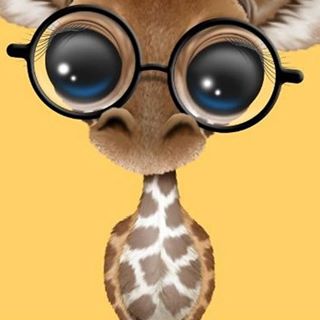 Kelly MartinRiley - Facebook Profile Picture of Kelly MartinRiley (@kelly.martinriley) on Facebook