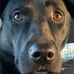 Profile Picture of Jenny Winter (@jenny.winter.5815) on Facebook