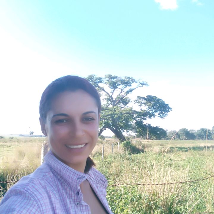 Profile Picture of Beatriz Andrade (@beatrizandrade.biah) on Tiktok