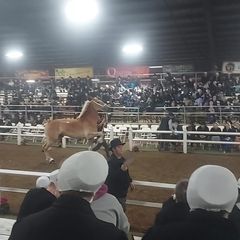 Profile Picture of matthewschmucker629 (@matthewschmucker629) on Tiktok