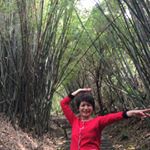 Profile Picture of Nancy Chien (@junlanchien) on Instagram