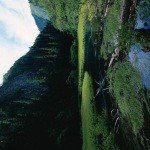 Profile Picture of mcgovern (@edwarducasper3) on Instagram