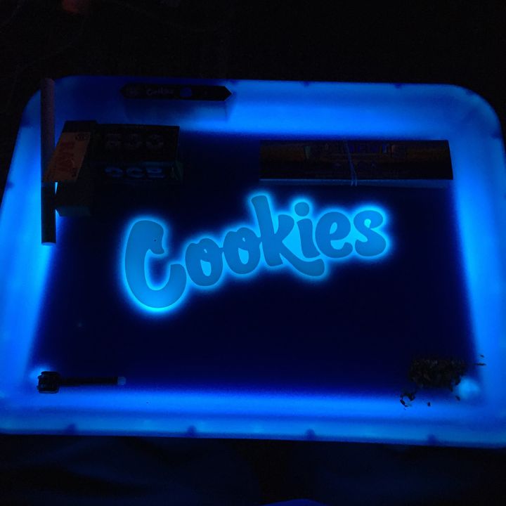 Profile Picture of Paul Creasey (@taxingsolid) on Tiktok