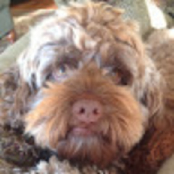Profile Picture of Aaron Manowitz (@aaronmanowitz) on Poshmark
