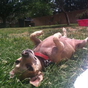 Profile Picture of Riley Curtis (@madelynriley_) on Myspace