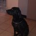 Profile Picture of Jon Kuhns (@jon.kuhns.12) on Facebook