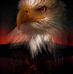 Profile Picture of Brian Ashbaugh (@brian.ashbaugh.77) on Facebook