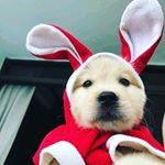 Profile Picture of Stephen LutherKing D. Bazilma (@stephen_lutherking) on Instagram