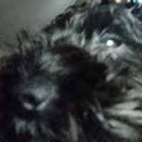 Profile Picture of Gavin Maxwell (@gavin-maxwell-29) on Quora