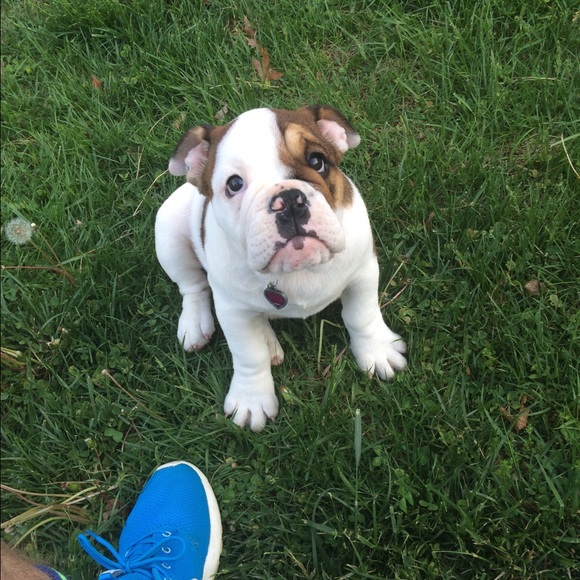 Jaret Lazich - Poshmark Profile Picture of Jaret Lazich (@jaret7) on Poshmark