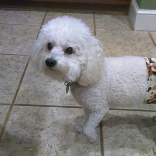 Profile Picture of Marilyn Smalley (@marilyn.smalley.73) on Facebook