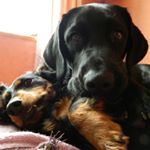 Adam Gaspar - Instagram Profile Picture of Adam Gaspar (@adamgaspar_ellabri) on Instagram