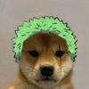 Profile Picture of Jack Pullen (@@jackpullen94) on Tiktok