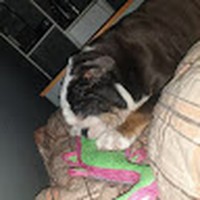 Profile Picture of Alex Hanley (@alex-hanley-32) on Quora