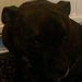Profile Picture of Fay Howe (@fay4568) on Pinterest