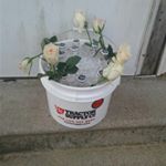 Profile Picture of faye Stephenson (@stephenson7510) on Instagram